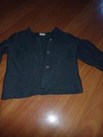 Merk hema mt 92 zgan, Ophalen of Verzenden, Zo goed als nieuw, Meisje, Trui of Vest