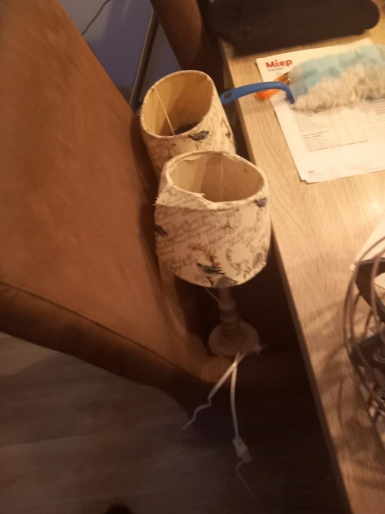 2 schemerlampjes kapjes vogelmotief gratis opte haalen, Ophalen