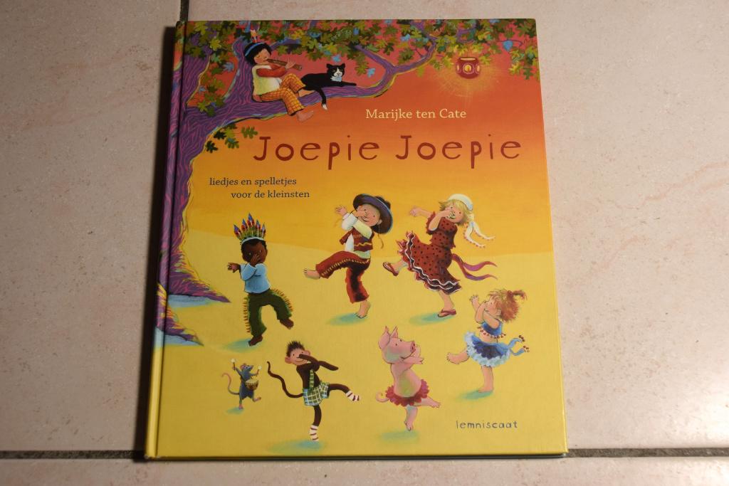Joepie Joepie / Marijke ten Cate met cd, Fictie algemeen, Jongen of Meisje, Ophalen of Verzenden, Zo goed als nieuw