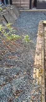 gratis ophalen grote partij kiezeltjes/ basalt/grind, Ophalen, Zo goed als nieuw, Antraciet, Split