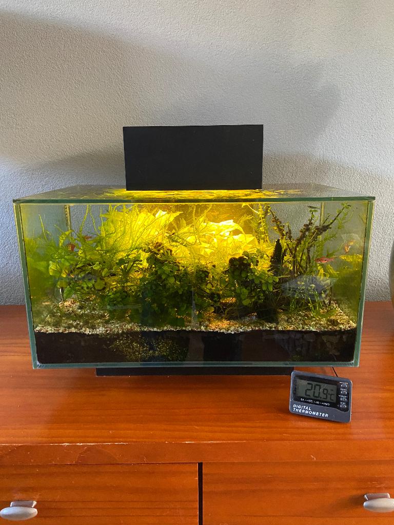 Aquarium Fluval Edge I, Ophalen, Gebruikt, Gevuld zoetwateraquarium, Fluval