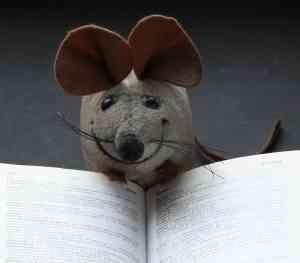 de Boekenmuis Vroege en Jonge Lijsters, Ophalen of Verzenden, Zo goed als nieuw, Fictie