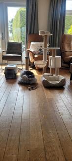 Kattenspullen te koop., Ophalen, Zo goed als nieuw