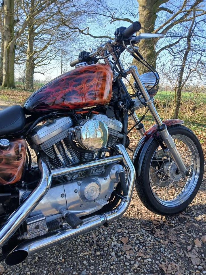 Harley-Davidson XLH 883, Motoren, Motoren | Harley-Davidson, Bedrijf, Toermotor, meer dan 35 kW, 2 cilinders, Ophalen of Verzenden