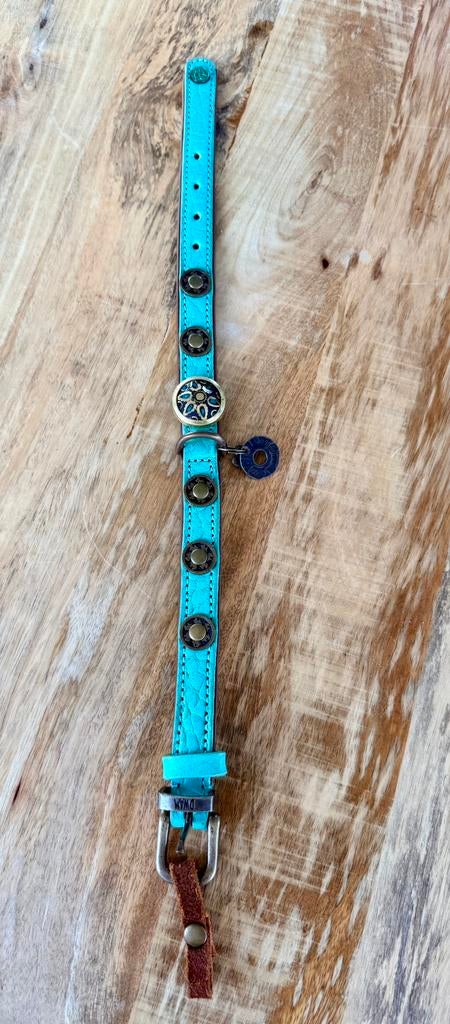 Dog with a mission honden halsband, Ophalen of Verzenden, Zo goed als nieuw