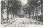 AK Breda, Ginneken - Bouvignedreef, Verzenden, Voor 1920, Gelopen, Noord-Brabant