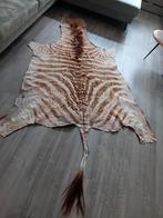 Zebra huid echt, 100 tot 150 cm, 200 cm of meer, Ophalen of Verzenden, Zo goed als nieuw