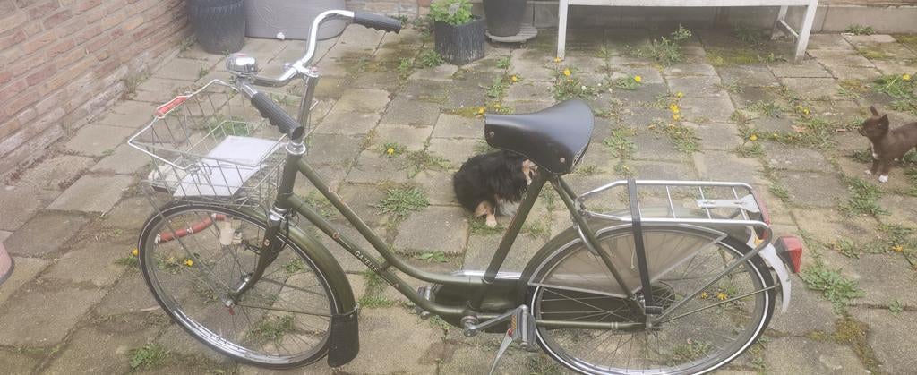 Originele gazelle, Fietsen en Brommers, Fietsen | Dames | Omafietsen, 50 tot 53 cm, Ophalen, Zo goed als nieuw, Gazelle