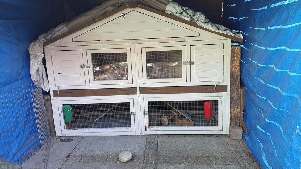 Konijnen chalet XL, Ophalen, 90 cm of meer, Konijn, Hok