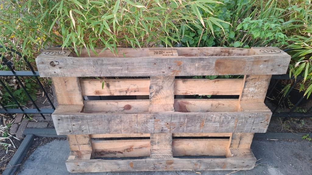 Gratis europallet, Ophalen, Overige houtsoorten, Minder dan 200 cm, Pallet