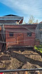 Kippenhok met kippen, Ophalen of Verzenden, Zo goed als nieuw