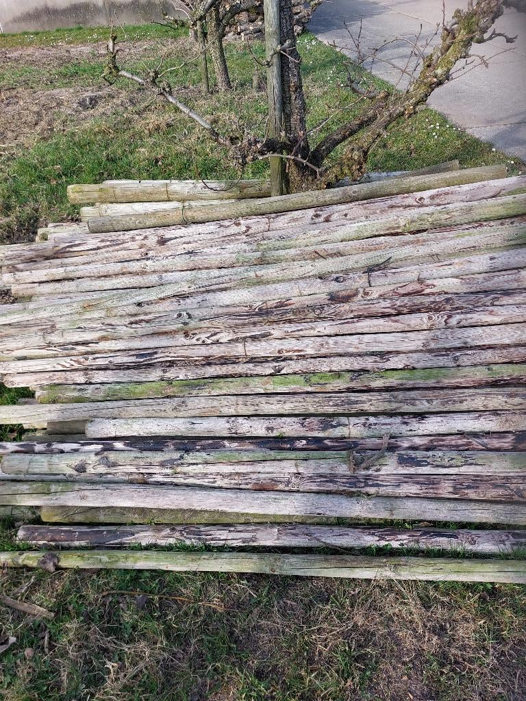 boompalen, Tuin en Terras, Palen, Balken en Planken, Ophalen, Gebruikt, 180 tot 250 cm, Palen