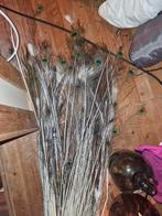 Hoop pauwenveren ook witte er tussen, Ophalen