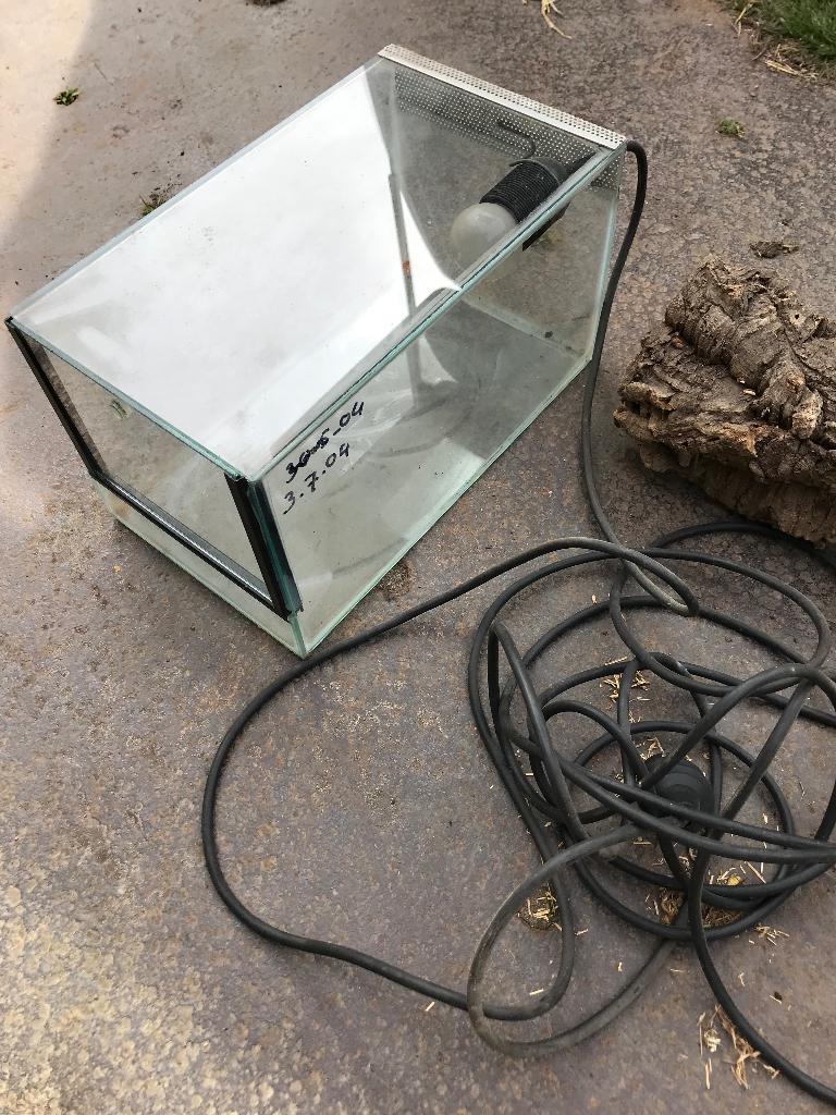 terrarium, Dieren en Toebehoren, Reptielen en Amfibieën | Toebehoren, Ophalen of Verzenden, Gebruikt, Terrarium of Paludarium