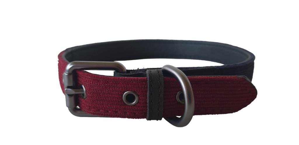 51 DEGREES NORTH Milano Halsband Blauw-Rood 45-54 cm KOOPJE!, Ophalen of Verzenden, Nieuw