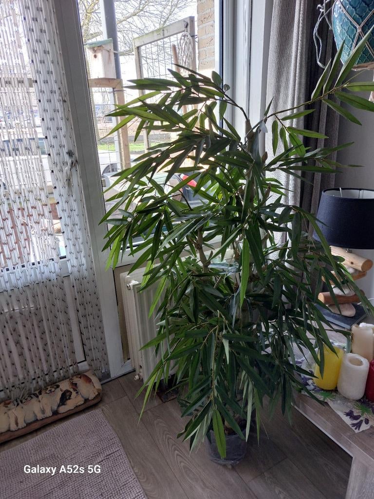 Kunst FICUS. Hoog 1m 40 cm., Huis en Inrichting, Kamerplanten, Ophalen, Ficus, Halfschaduw, Minder dan 100 cm