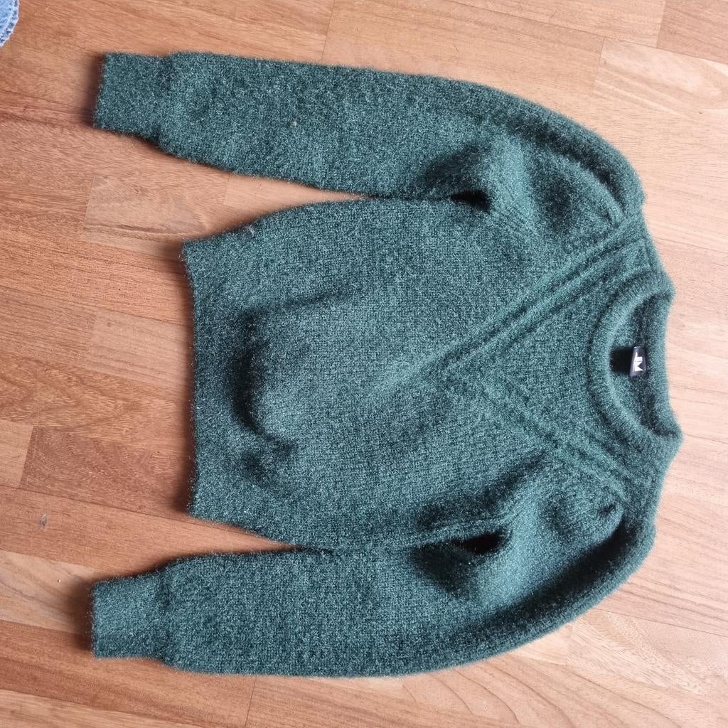 Trui JM maat 146/152, Kinderen en Baby's, Kinderkleding | Maat 146, Ophalen of Verzenden, Zo goed als nieuw, Meisje, Trui of Vest