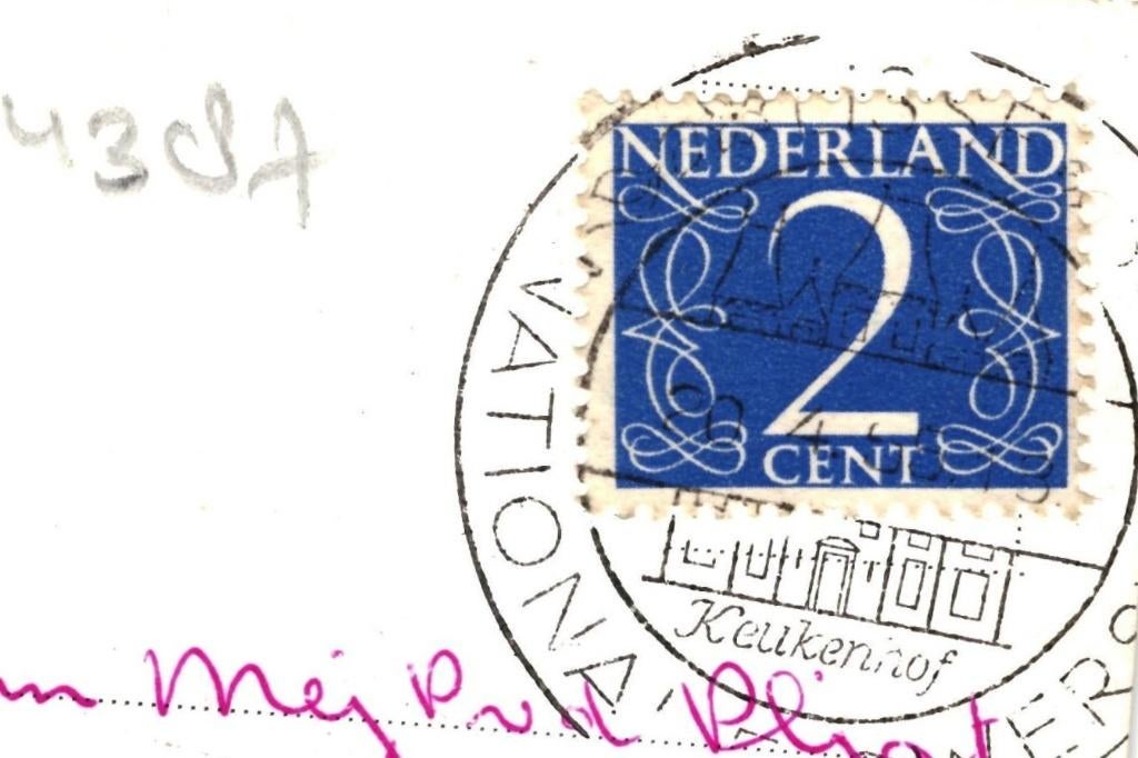 914387 Lisse ZH 1951 Keukenhof Gelopen met postzegel, Ophalen of Verzenden, 1940 tot 1960, Gelopen, Zuid-Holland