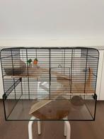 Hamsterkooi, Kooi, Minder dan 75 cm, Zo goed als nieuw, Hamster
