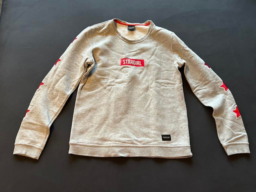 IZGS Colorful Rebel sweater M 38 40 grijs rood, Ophalen of Verzenden, Zo goed als nieuw, Maat 38/40 (M), Grijs