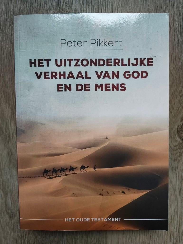 Pikkert - Het uitzonderlijke verhaal van God en de mensheid, Ophalen of Verzenden, Gelezen