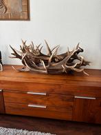 Geweien van edelherten - Mooie decoratie, Verzamelen, Ophalen