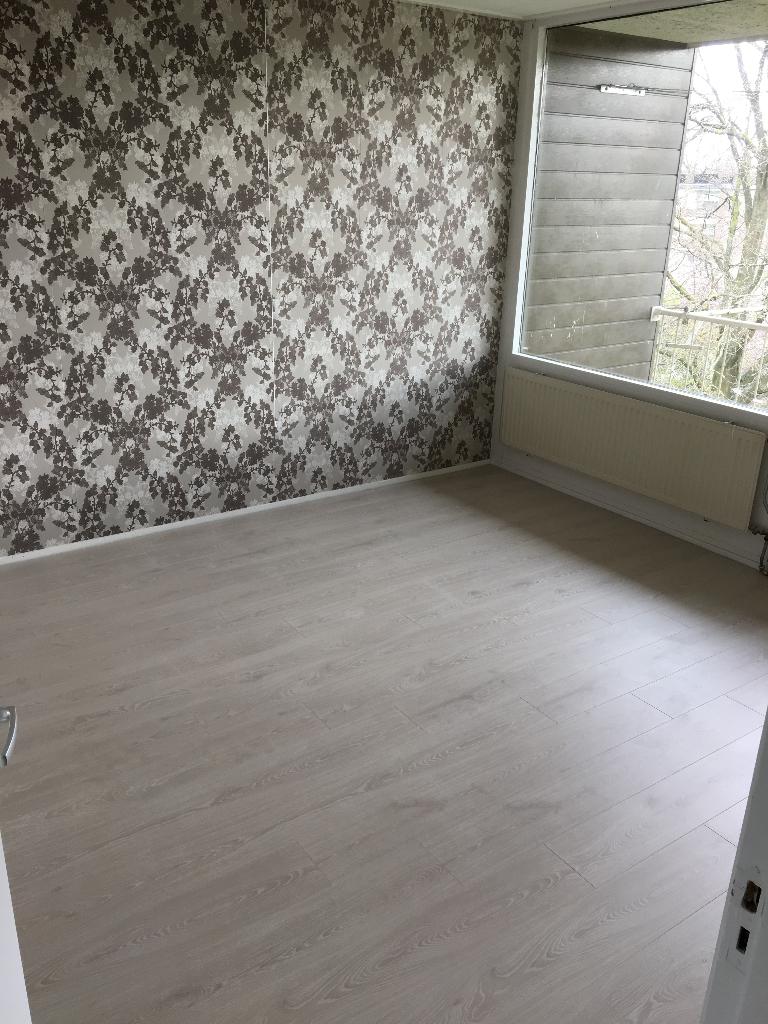 Schilder - Egaliseren - Vloer legger, Ophalen of Verzenden, Nieuw, Overige typen