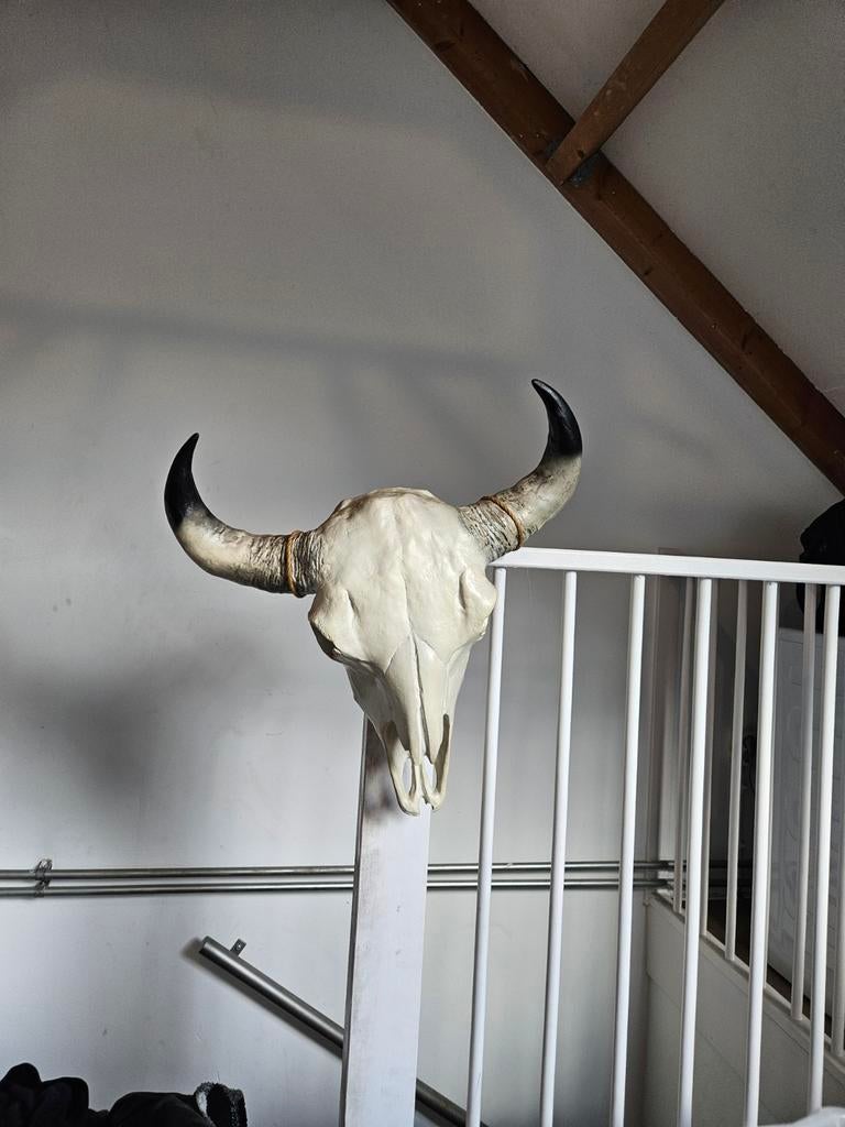 Decoratieve schedel met hoorns, Antiek en Kunst, Ophalen of Verzenden