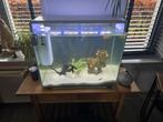 Superfish Home 85 Aquarium, Dieren en Toebehoren, Ophalen, Leeg aquarium