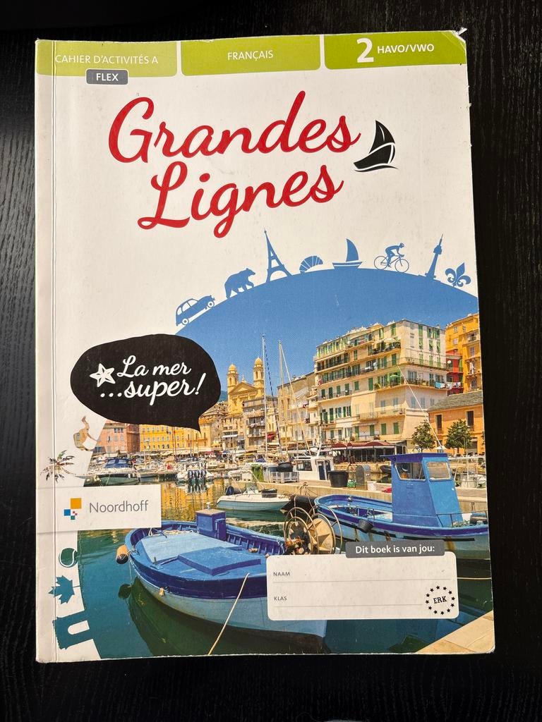 Grandes Lignes Cahier d'activités A 2 HAVO/VWO, Ophalen of Verzenden, Gelezen, HAVO, Frans