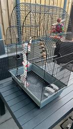 Vogelkooi, Dieren en Toebehoren, Vogels | Hokken en Kooien, Ophalen, Gebruikt, Metaal, Vogelkooi