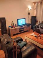 Visaton experience V20, Audio, Tv en Foto, Luidsprekers, Zo goed als nieuw, 120 watt of meer, Front, Rear of Stereo speakers, Ophalen