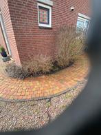 GRATIS koppelstones 10x10 ca. 80m2 - zelf uithalen, Tuin en Terras, Tegels en Klinkers, Ophalen, Gebruikt, Klinkers, 10 m² of meer