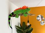 Kinderkamer lamp, jungle kamer lamp leguaan, Overige typen, Ophalen of Verzenden, Middelgroot (20 tot 80 cm), Gebruikt