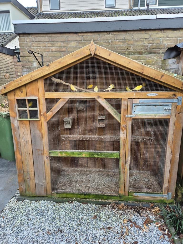 Voliere, Dieren en Toebehoren, Ophalen, Hout, Volière