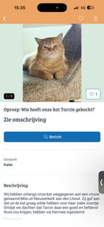 Gezocht, Dieren en Toebehoren, Vermiste en Gevonden Dieren