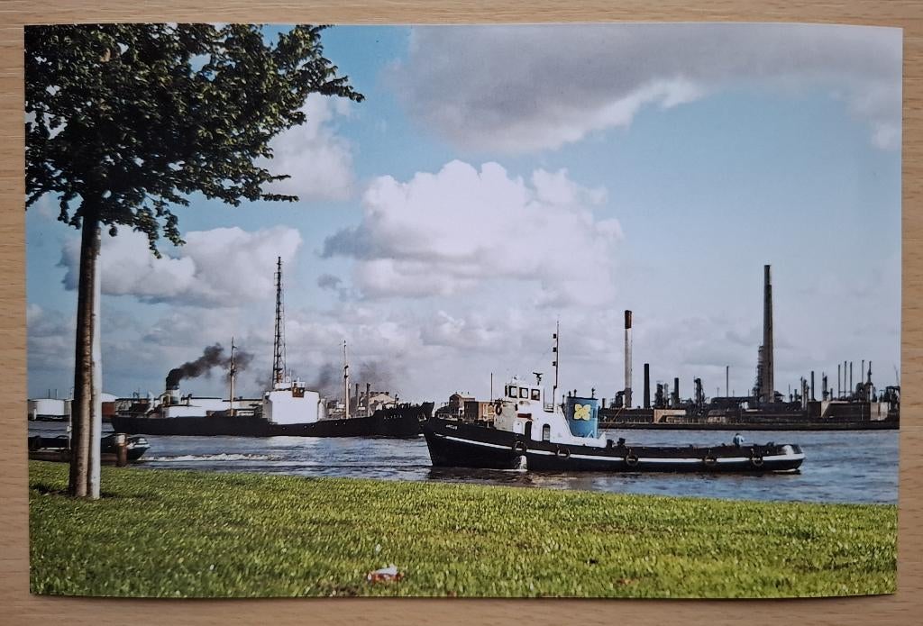 Foto sleepboot Smit Argus - Nieuwe Waterweg Vlaardingen 1975, Verzamelen, Foto's en Prenten, Nieuw, Foto, Overige onderwerpen