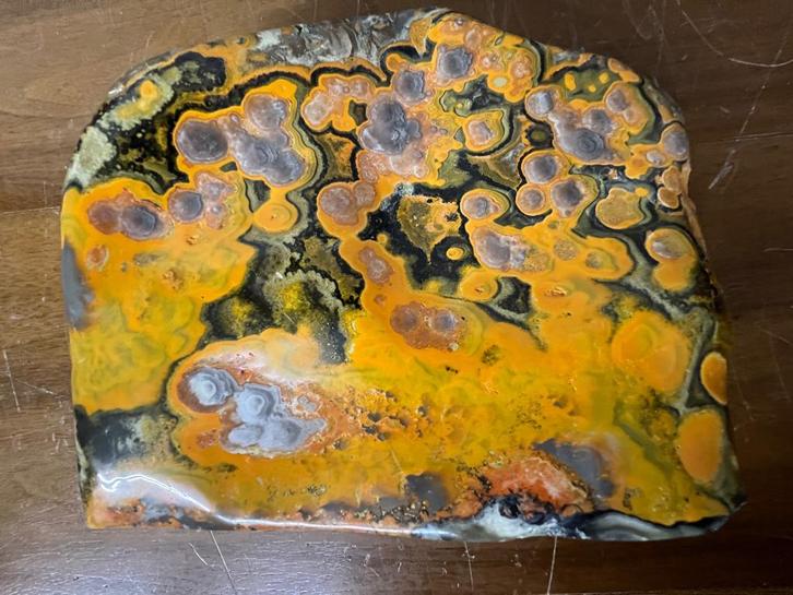 Bumblebee Eyes Jaspis groot stuk(14), zeldzaam en zeer mooi., Verzamelen, Mineralen en Fossielen, Mineraal, Ophalen of Verzenden