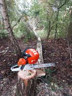 Bomen kappen en vellen