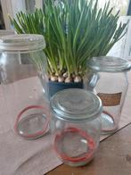 antieke weckpotten, Ophalen, Gebruikt, Glas, Overige typen