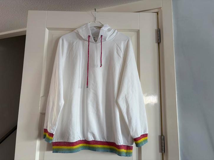 Mooie nieuwe trui wit met glitter, Kleding | Dames, Truien en Vesten, Nieuw, Maat 46/48 (XL) of groter, Overige kleuren, Ophalen of Verzenden