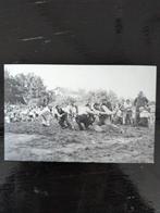 Koninginnen feest Heelsum, Verzamelen, Verzenden, 1940 tot 1960, Gelderland