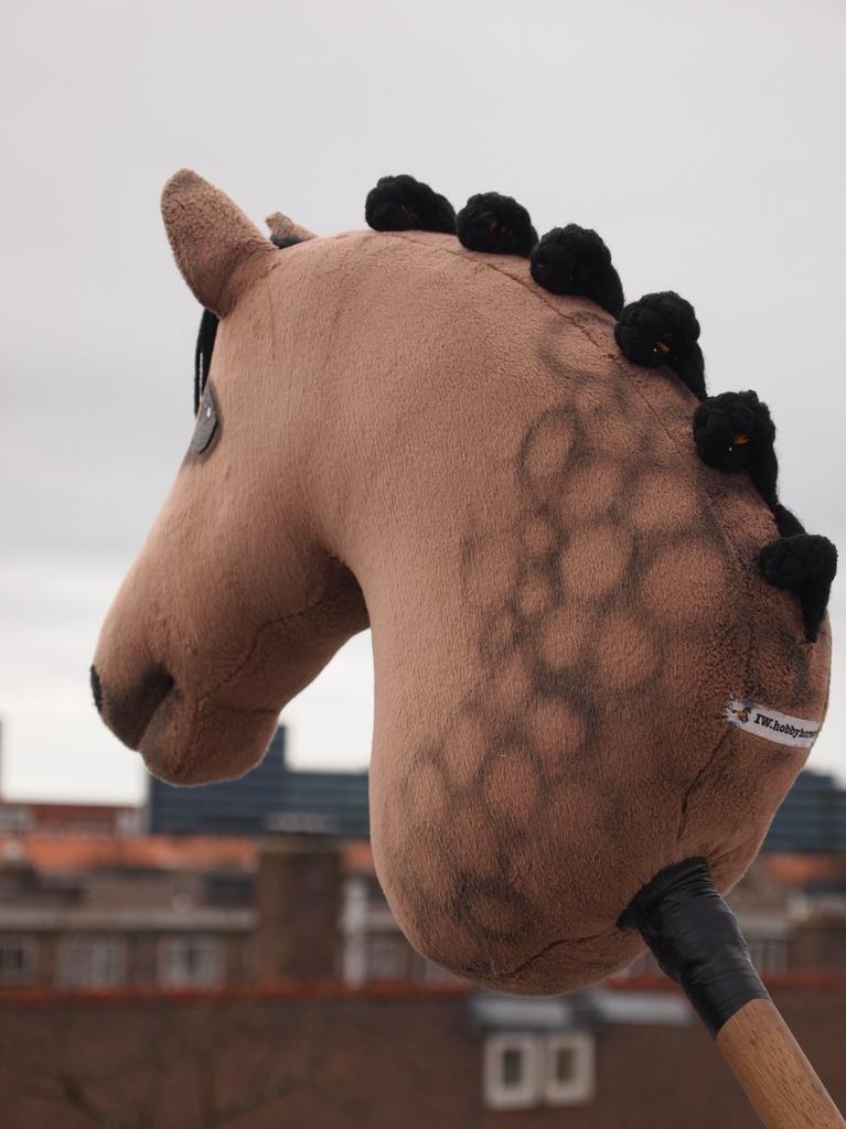 Iw hobbyhorse met veel accessoires, Ophalen of Verzenden, Zo goed als nieuw