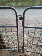 mooie gebruikte schapenhekjes, Mannelijk, Schaap