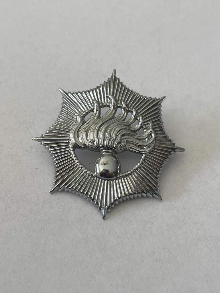 Embleem badge rijkspolitie politieagent, Ophalen of Verzenden, Embleem of Badge