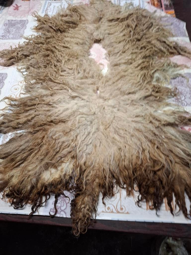 Ruwe vacht van Racka schaap, Ophalen of Verzenden, Nieuw, Spinwol