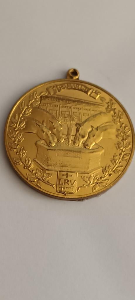 Gouden Medaille Gewestelijk Ruitertornooi Broechem 1984, Ophalen of Verzenden