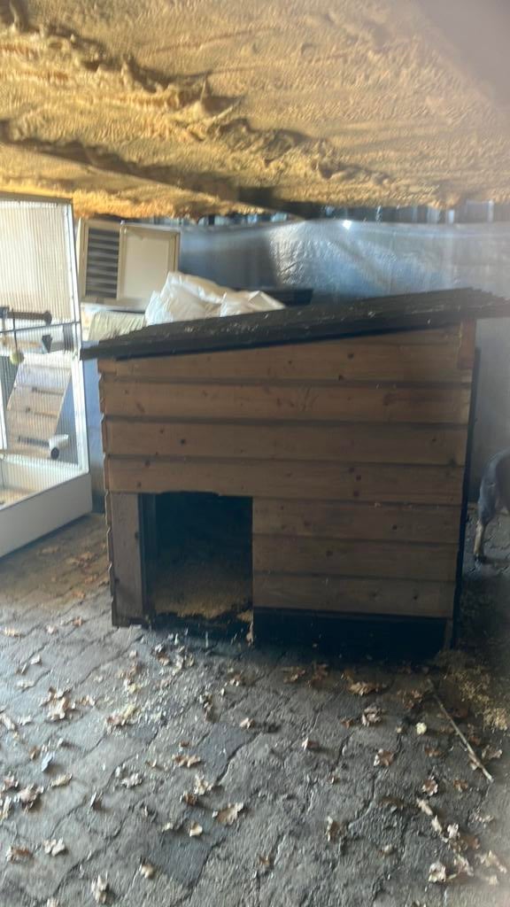 Nachthok, Dieren en Toebehoren, Hondenhokken, Ophalen of Verzenden, 110 cm of meer, 100 cm of meer