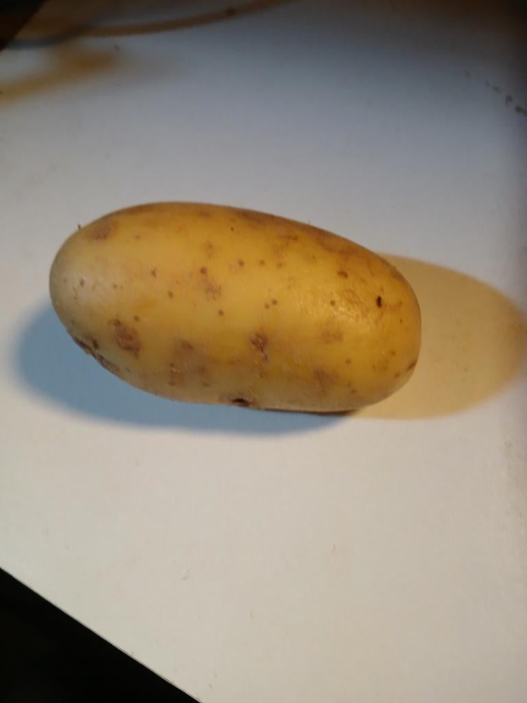 Aardappel, Ophalen, Gebruikt, Boer