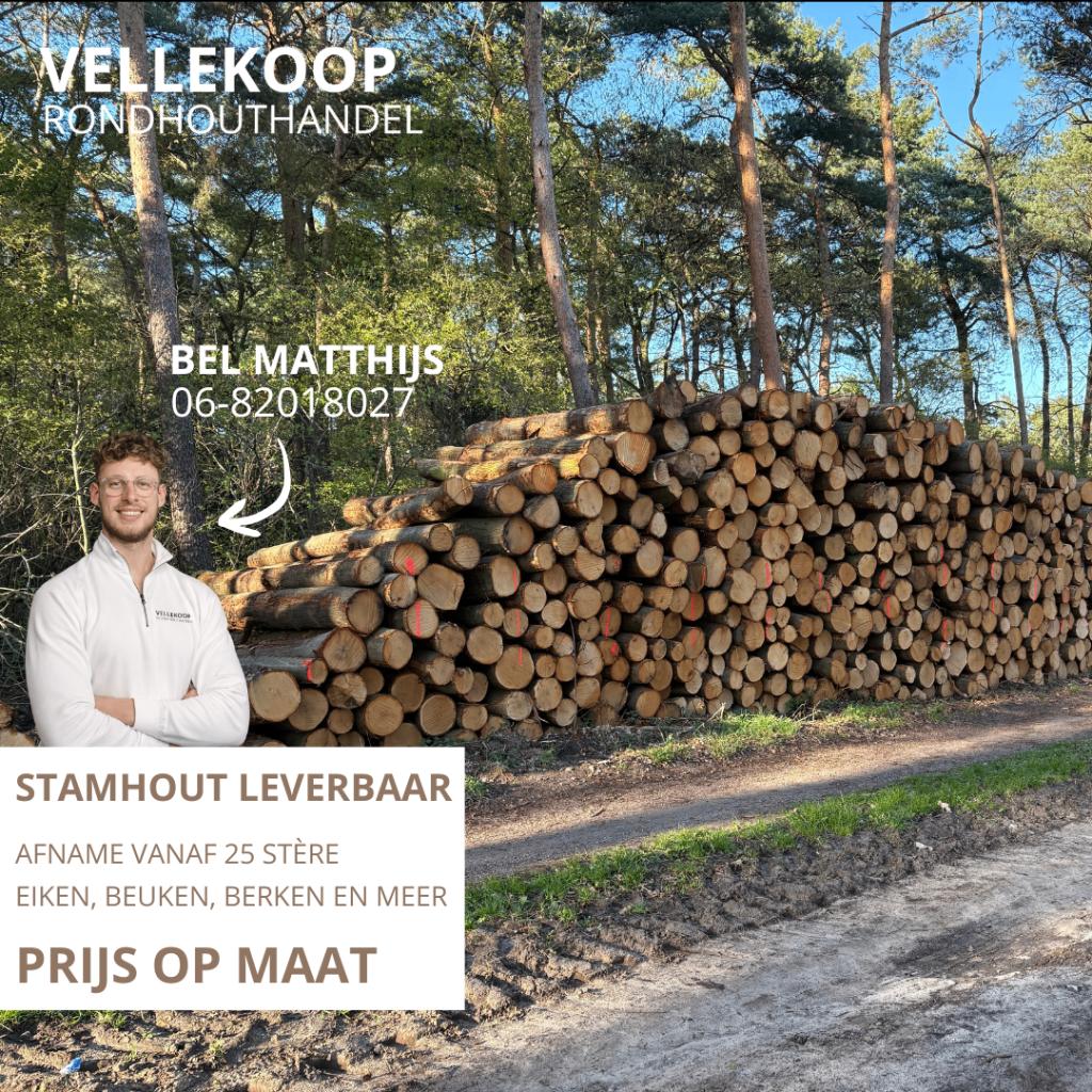 STAMHOUT LEVERBAAR: eik, beuk, berk en meer, Tuin en Terras, Haardhout, 6 m³ of meer, Verzenden, Eikenhout, Stammen